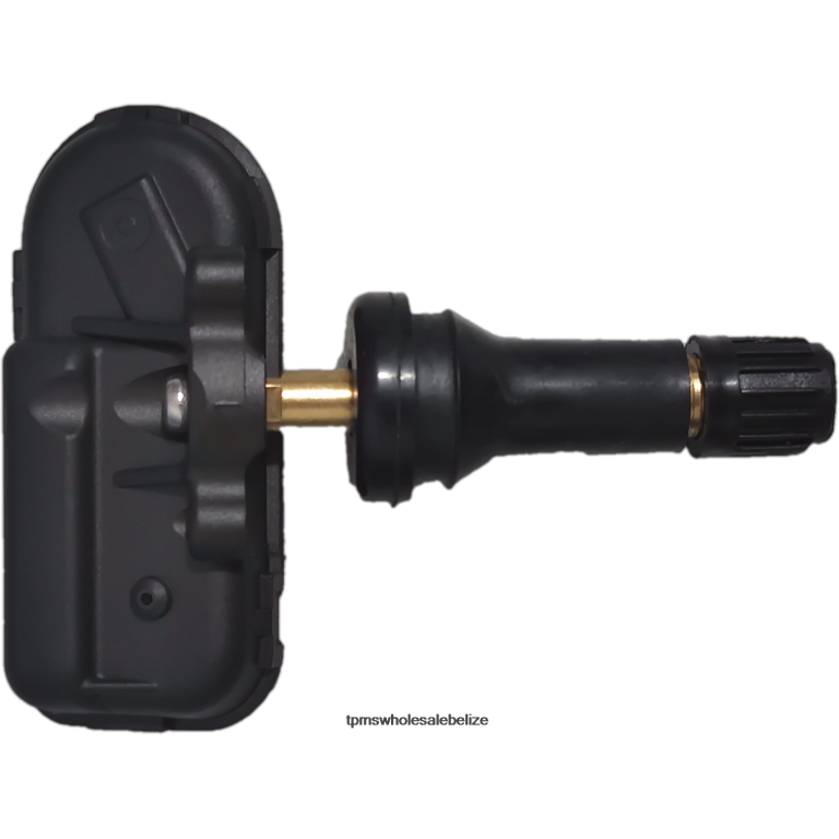 TPMS Baojun Tire Pressure Sensor 23984663 - TPMS Sensor Replacement BT2RL1284
