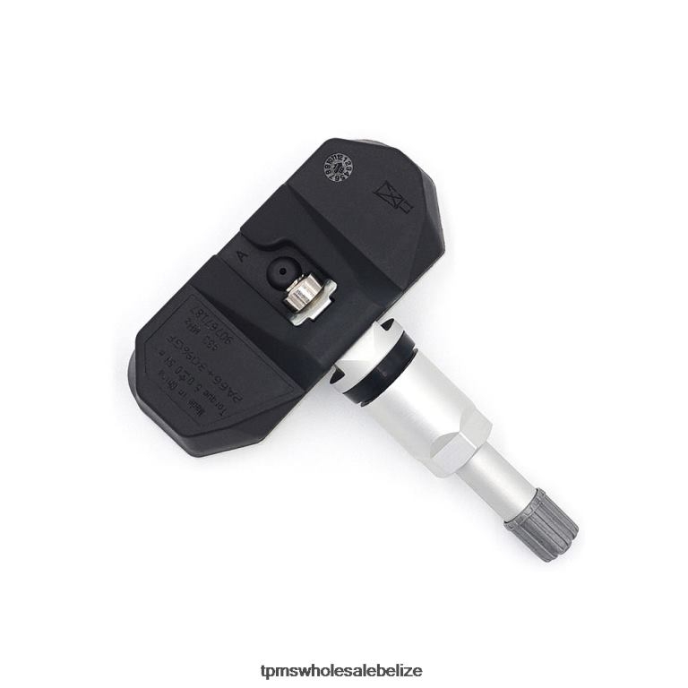 TPMS Baojun Tire Pressure Sensor FS43X0L7 - TPMS Full Form BT2RL1285