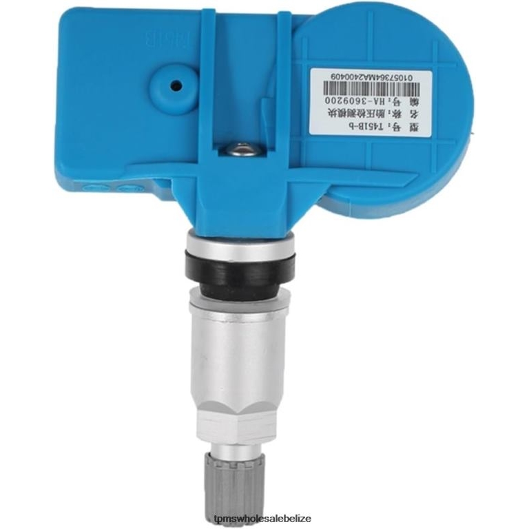 TPMS BYD The Pressure Sensor HA3609200 433MHZ - TPMS Full Form BT2RL1725