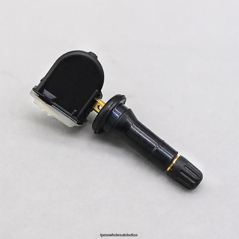 TPMS BYD The Pressure Sensor SC3609200 433MHZ - TPMS Sensor Replacement BT2RL1724