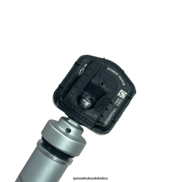 TPMS Chery Tire Pressure Sensor 802000012AA - TPMS Sensor Replacement Cost BT2RL1241