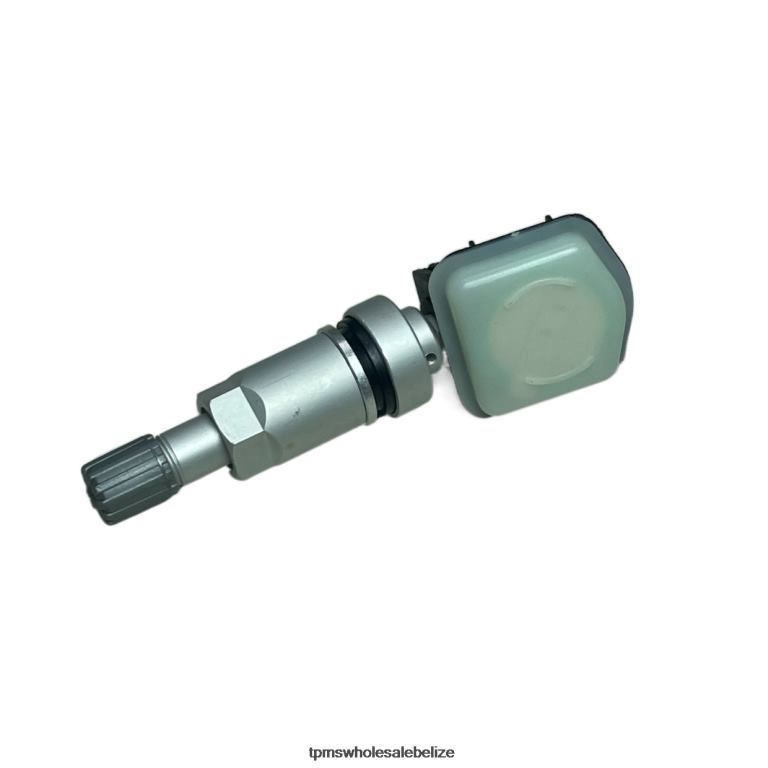TPMS Chery Tire Pressure Sensor 802000012AA - TPMS Sensor Replacement Cost BT2RL1241