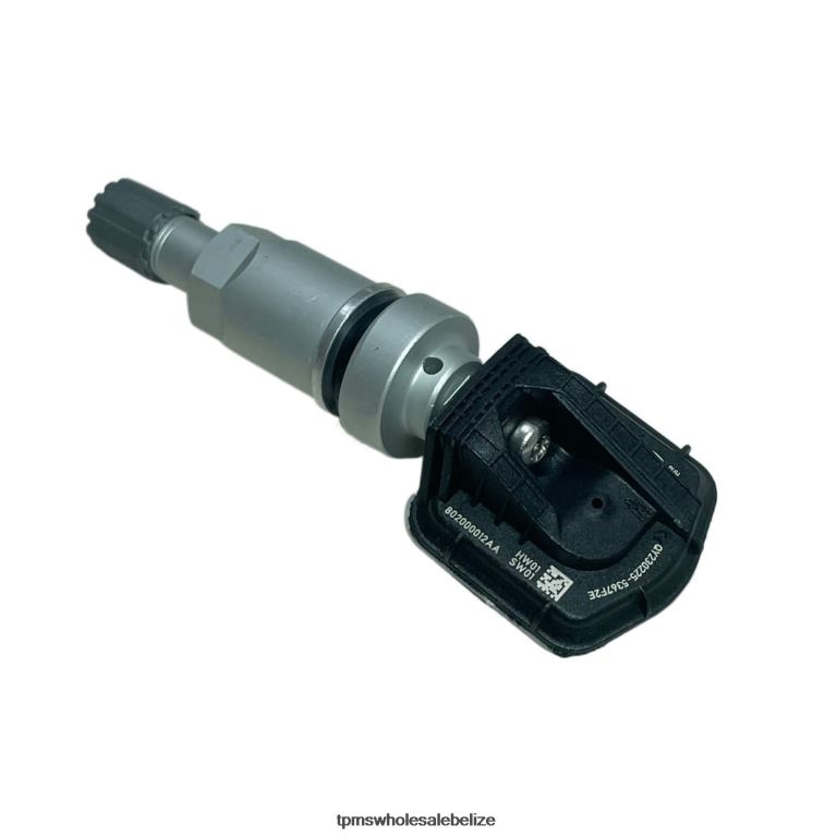 TPMS Chery Tire Pressure Sensor 802000012AA - TPMS Sensor Replacement Cost BT2RL1241