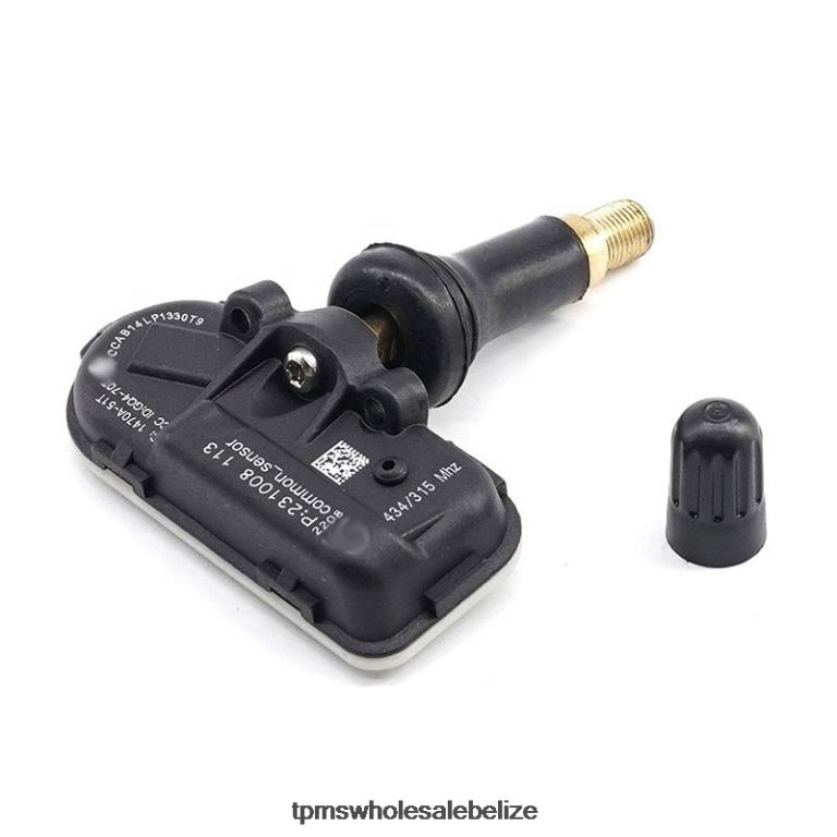 TPMS Chery Tire Pressure Sensor 802000021AA - TPMS Reset Button BT2RL1242