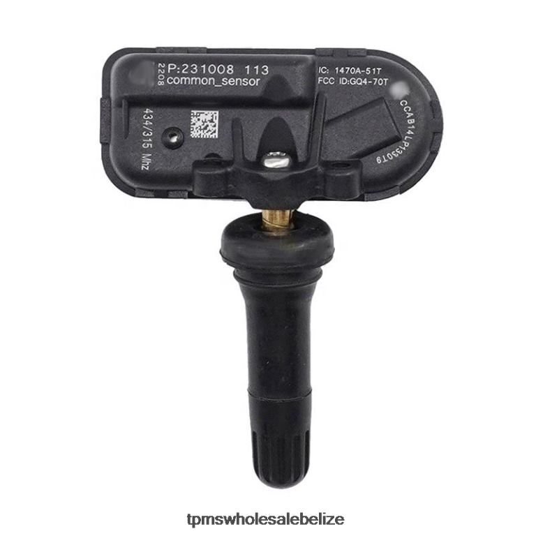 TPMS Chery Tire Pressure Sensor 802000021AA - TPMS Reset Button BT2RL1242