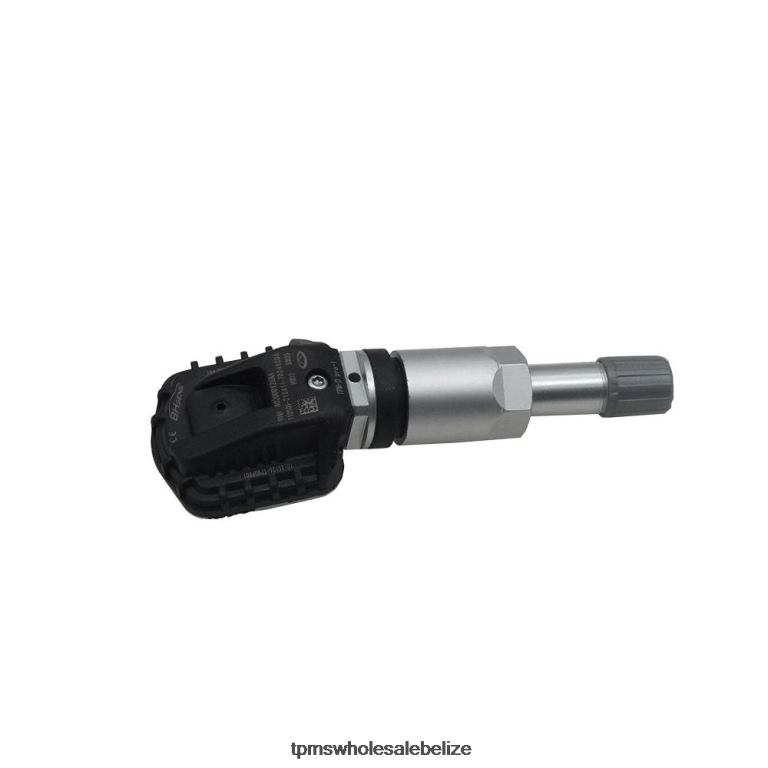 TPMS Chery Tire Pressure Sensor 802000126AA - TPMS For Car BT2RL1243