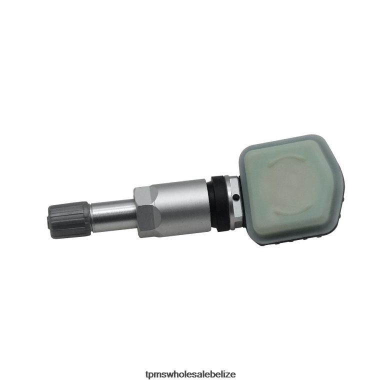 TPMS Chery Tire Pressure Sensor 802000126AA - TPMS For Car BT2RL1243