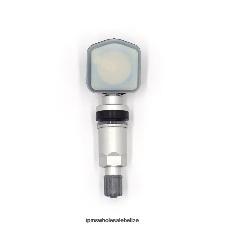 TPMS Dongfeng Tire Pressure Sensor 3641050SA03 - TPMS Reset Button BT2RL1262