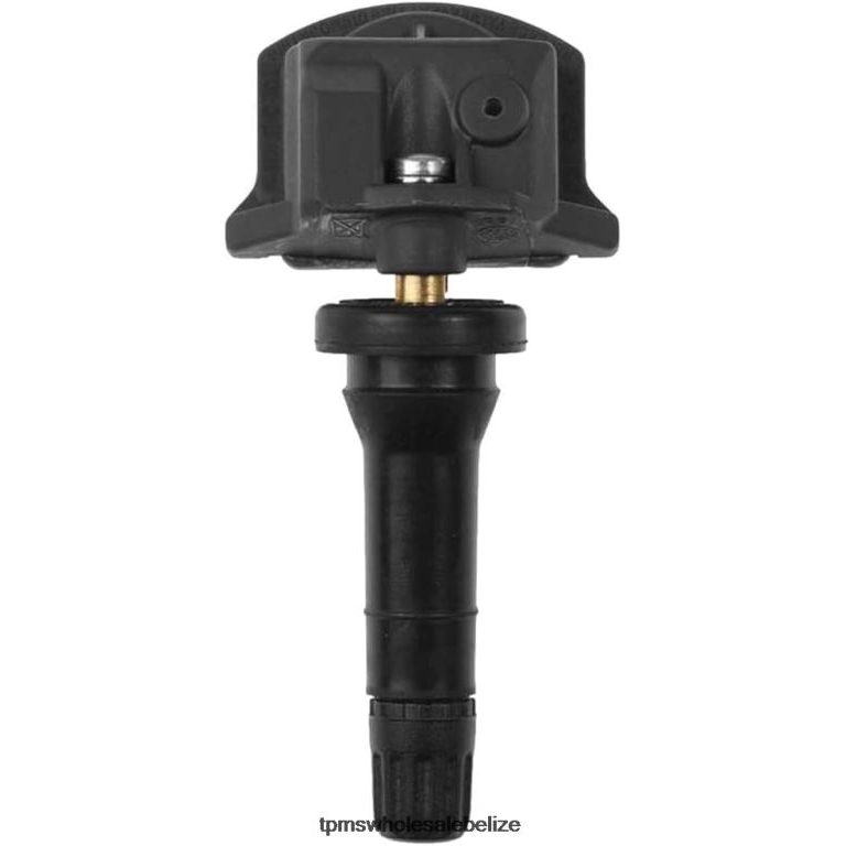 TPMS Dongfeng Tire Pressure Sensor 407006UA0A - TPMS Sensor Replacement BT2RL1264