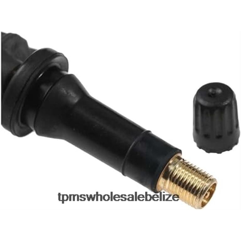 TPMS Dongfeng Tire Pressure Sensor 407006UA0A - TPMS Sensor Replacement BT2RL1264