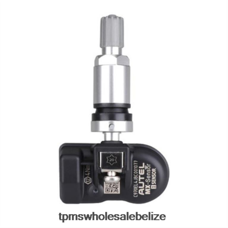 TPMS Geely The Pressure Sensor 1734809 433MHZ - TPMS Belmopan BT2RL1707