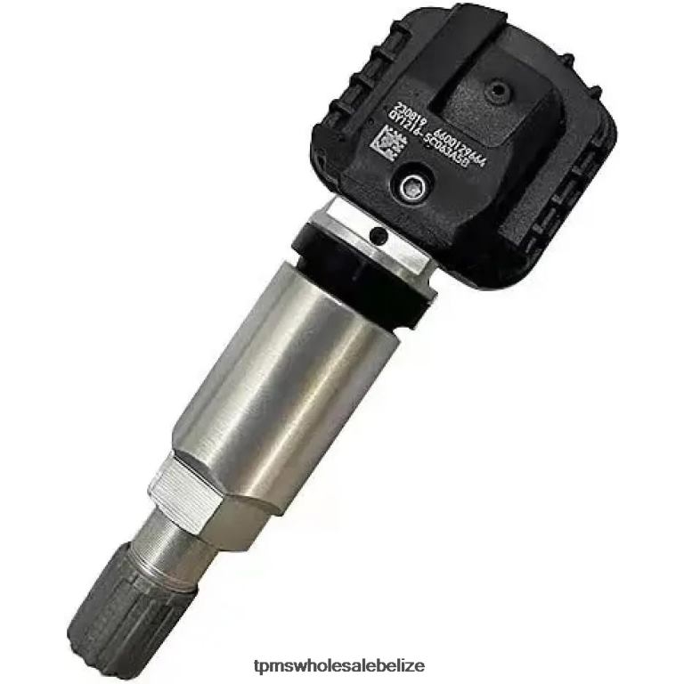 TPMS Geely The Pressure Sensor 6600129664 433MHZ - TPMS Sensor Replacement Cost BT2RL1721