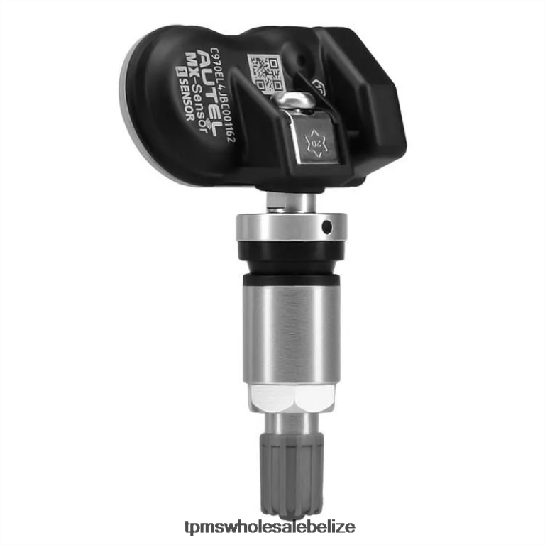 TPMS Geely The Pressure Sensor 6606737042 433MHZ - TPMS Reset Button BT2RL1722