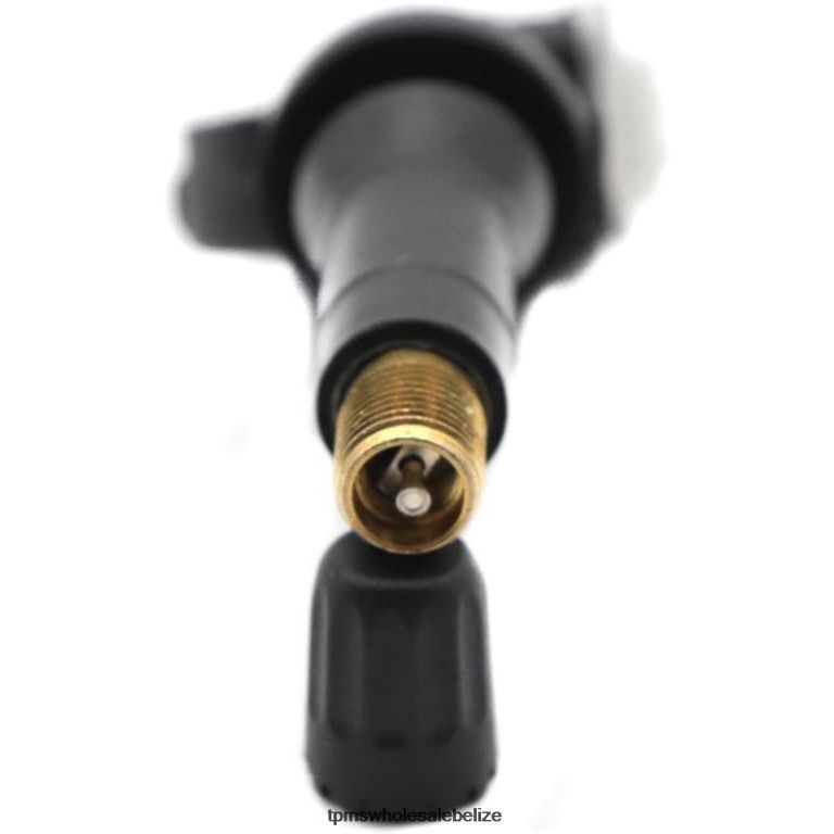 TPMS Haval/GWM The Pressure Sensor 3641101XKN01A 433MHZ - TPMS Sensor BT2RL1698