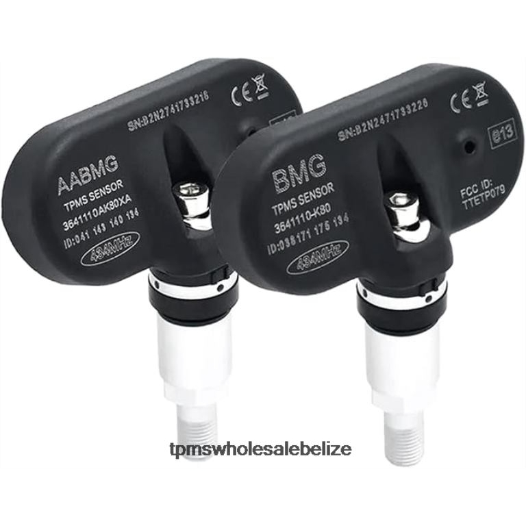 TPMS Haval/GWM The Pressure Sensor 3641110AK80XA 433MHZ - TPMS Belize BT2RL1696