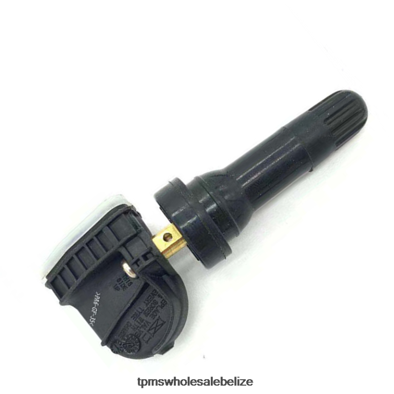 TPMS Jianghuai The Pressure Sensor 3666200U3400 433MHZ - TPMS Reset Button BT2RL1752