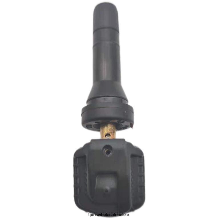 TPMS Jianghuai The Pressure Sensor B00019849 433MHZ - TPMS Relearn Tool BT2RL1760