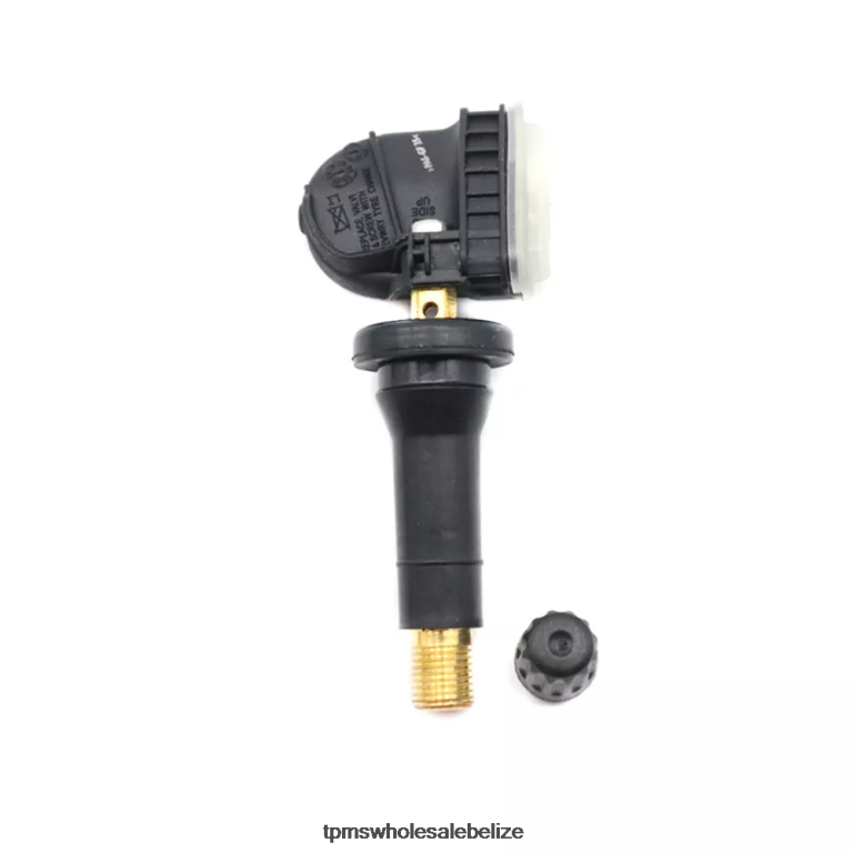 TPMS Jianghuai The Pressure Sensor TP3040050 433MHZ - TPMS Full Form BT2RL1765