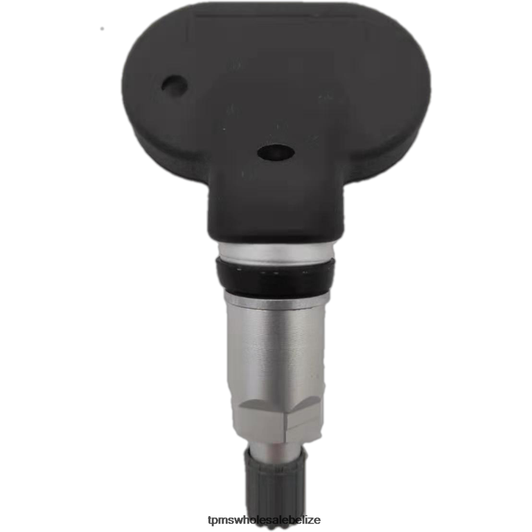 TPMS JIANGZING Tire Pressure Sensor JML391212060A0Q1 - TPMS Sensor Replacement Cost BT2RL1301