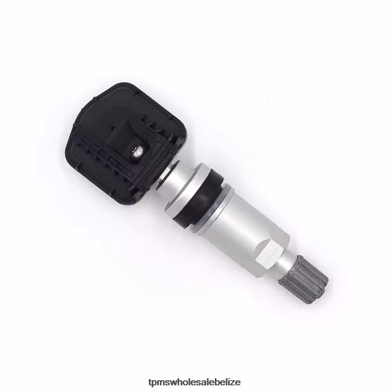 TPMS Rongwei Tire Pressure Sensor 10290600 - TPMS Belize BT2RL1256