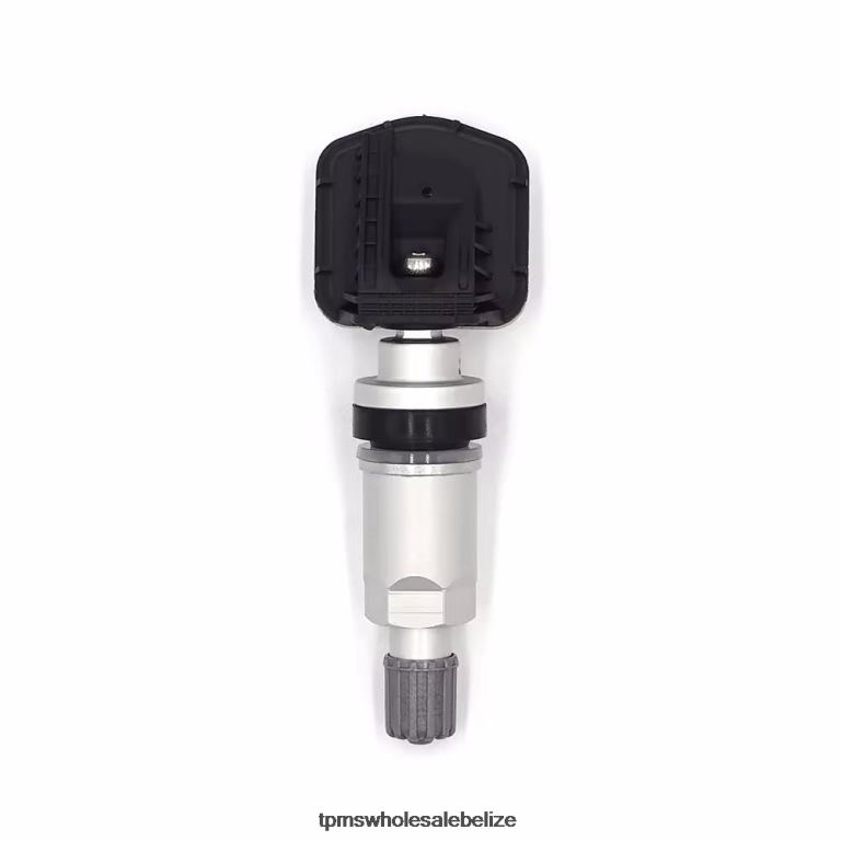 TPMS Rongwei Tire Pressure Sensor 10290600 - TPMS Belize BT2RL1256