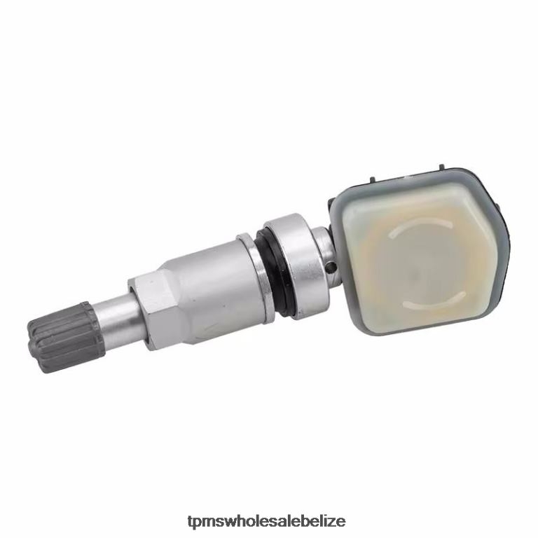 TPMS Rongwei Tire Pressure Sensor 10290600 - TPMS Belize BT2RL1256