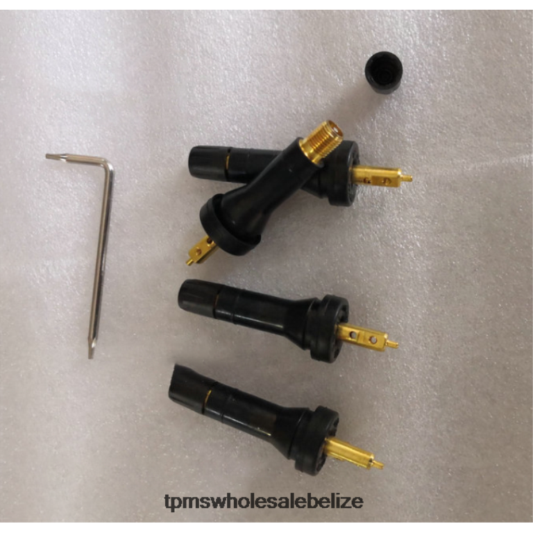 TPMS Rongwei Tire Pressure Sensor 10718213 - TPMS Belmopan BT2RL1257