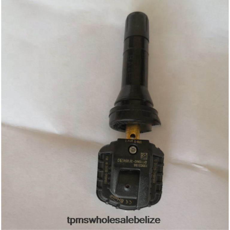 TPMS Rongwei Tire Pressure Sensor 10718213 - TPMS Belmopan BT2RL1257