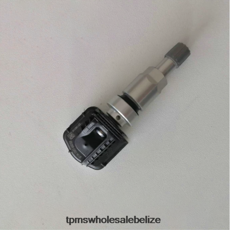TPMS Rongwei Tire Pressure Sensor 10718213 - TPMS Belmopan BT2RL1257