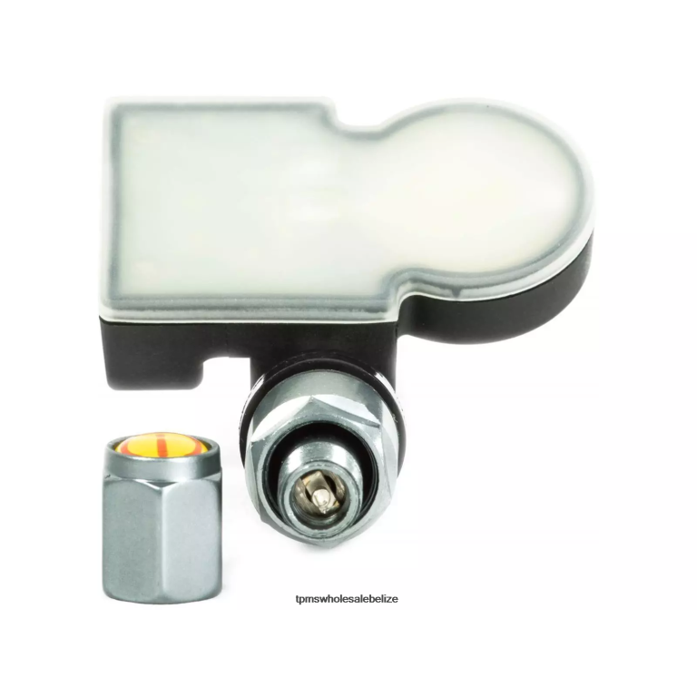 TPMS SAIC Datsun Tire Pressure Sensor GC91B50 - TPMS Sensor Replacement Cost BT2RL1291