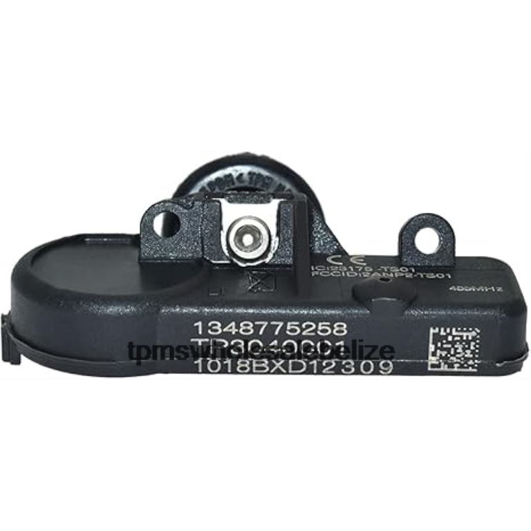 TPMS SAIC Datsun Tire Pressure Sensor TP3040001 - TPMS Programming Tool BT2RL1289