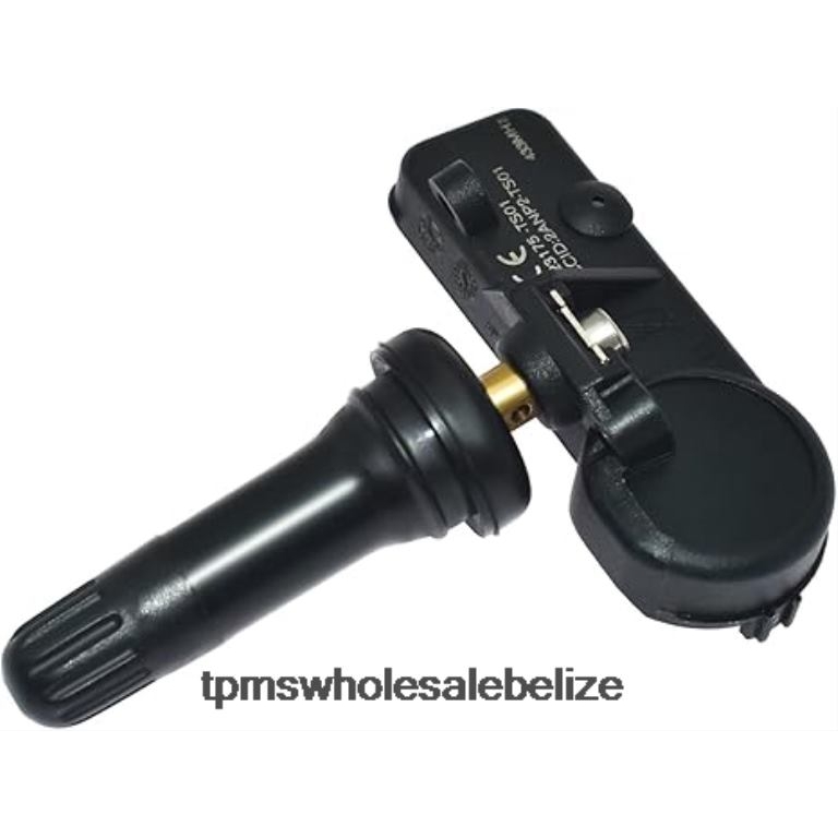 TPMS SAIC Datsun Tire Pressure Sensor TP3040001 - TPMS Programming Tool BT2RL1289