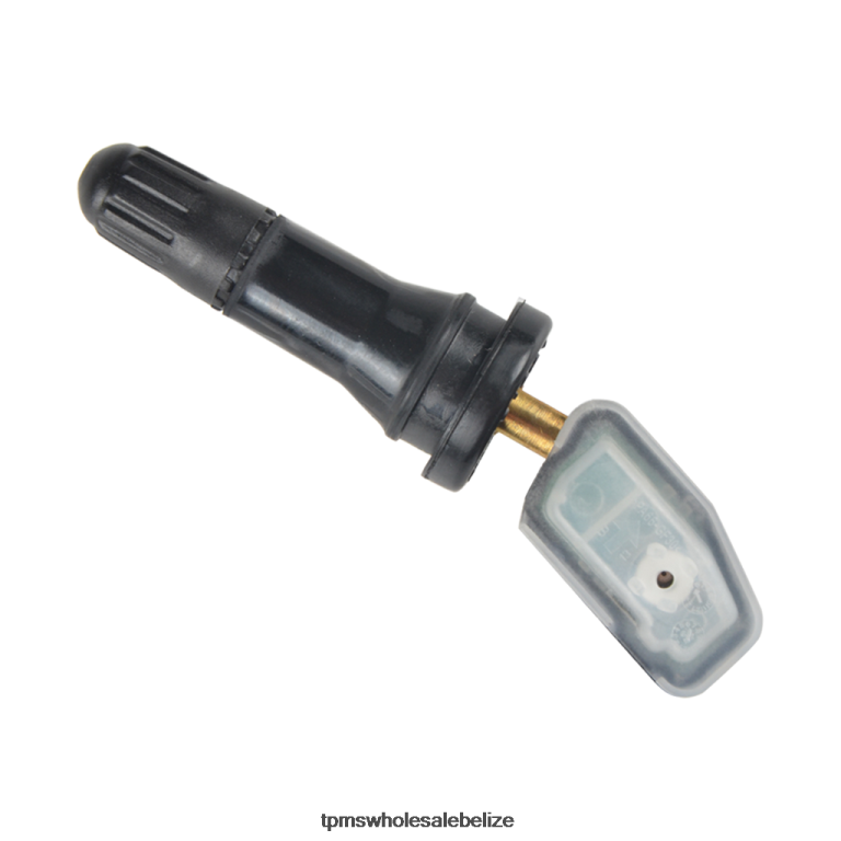 TPMS Southeast Tire Pressure Sensor 25M01A031A - TPMS Relearn Tool BT2RL1250