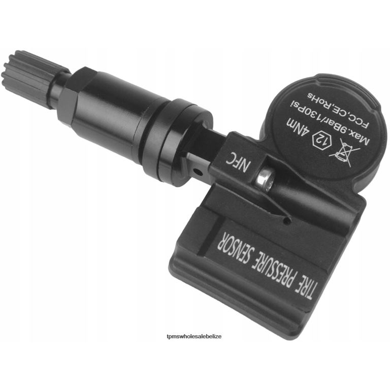 TPMS Trumpchi The Pressure Sensor 8060004BAC0000 433MHZ - TPMS Full Form BT2RL1745