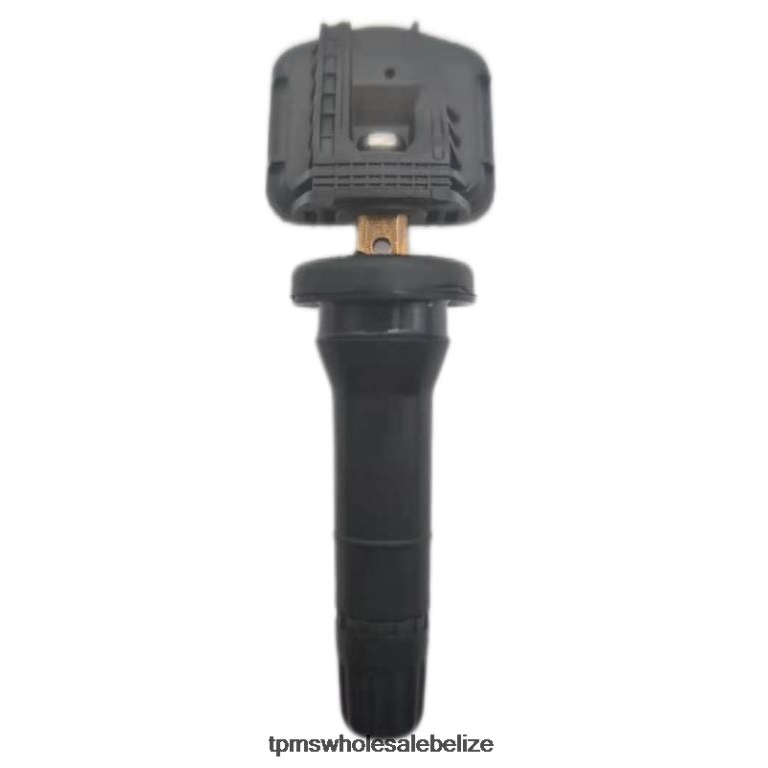 TPMS XPENG The Pressure Sensor 8040002DA1 433MHZ - TPMS Belmopan BT2RL1767