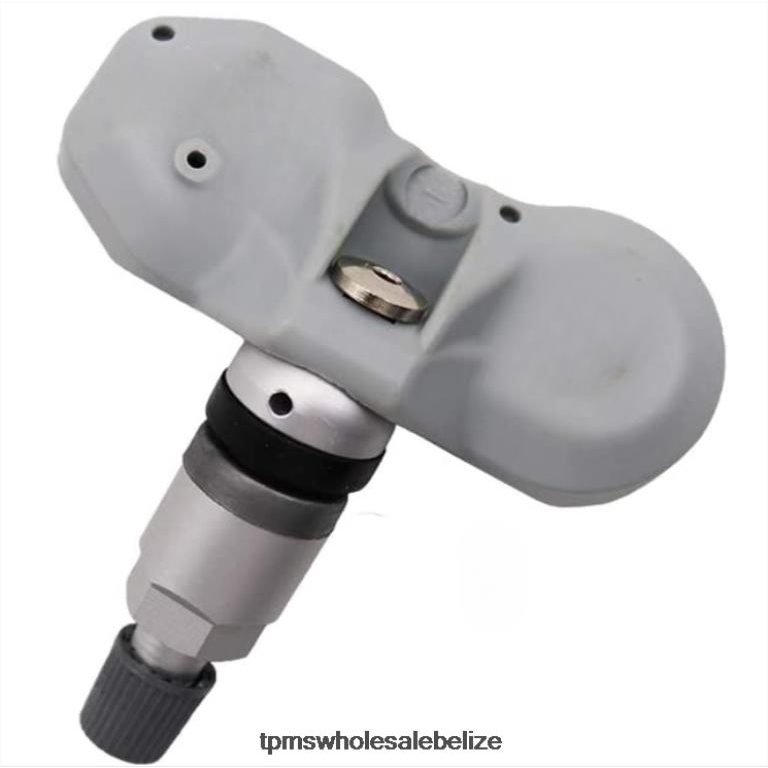 TPMS Audi The Pressure Sensor 4F0907275C 315MHZ - TPMS Sensor Replacement BT2RL1504