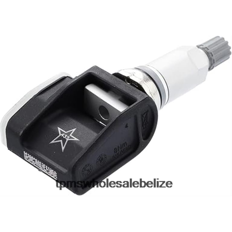 TPMS BMW Tire Pressure Sensor 36106872774 - TPMS Full Form BT2RL1465