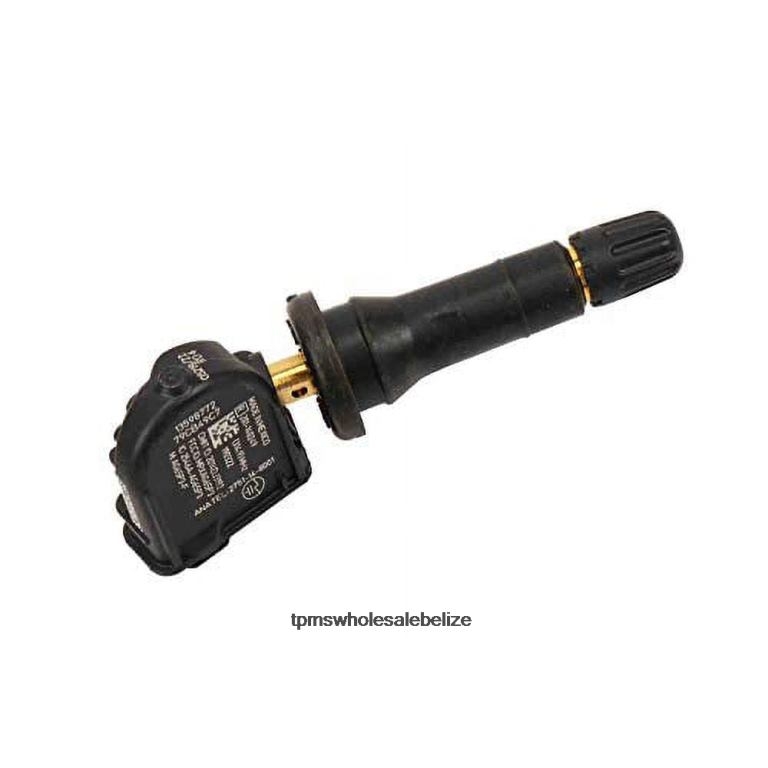 TPMS Buick/Cadillac/Chevrolet/GMC Tire Pressure Sensor 13598772 - TPMS For Car BT2RL1323