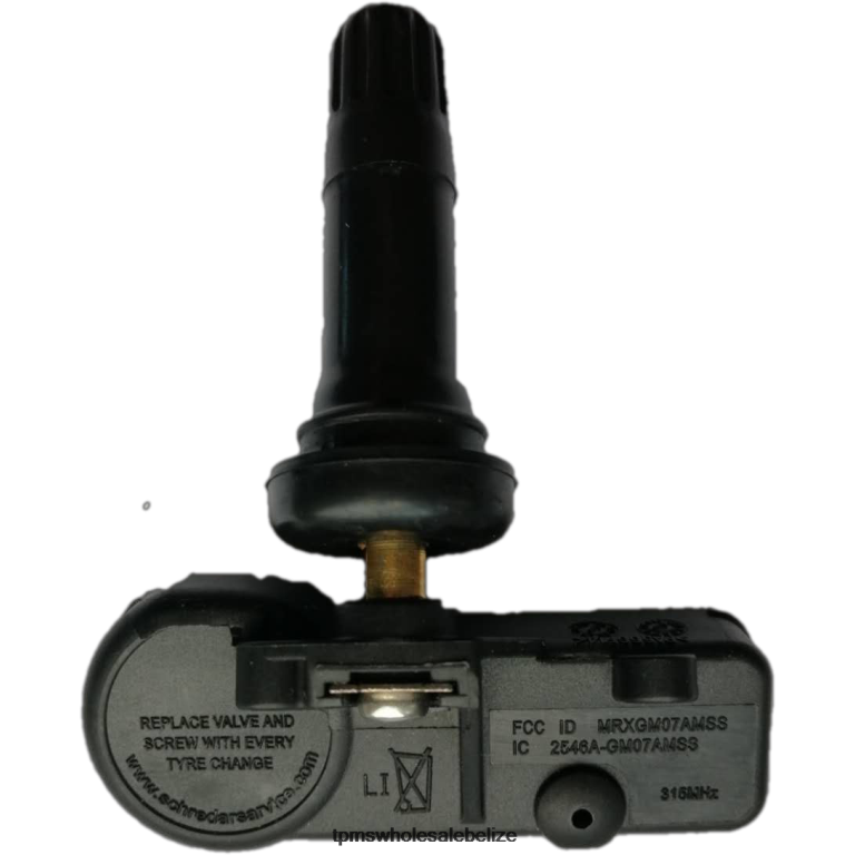 TPMS Buick/Cadillac Tire Pressure Sensor 25799331 - TPMS Full Form BT2RL1345