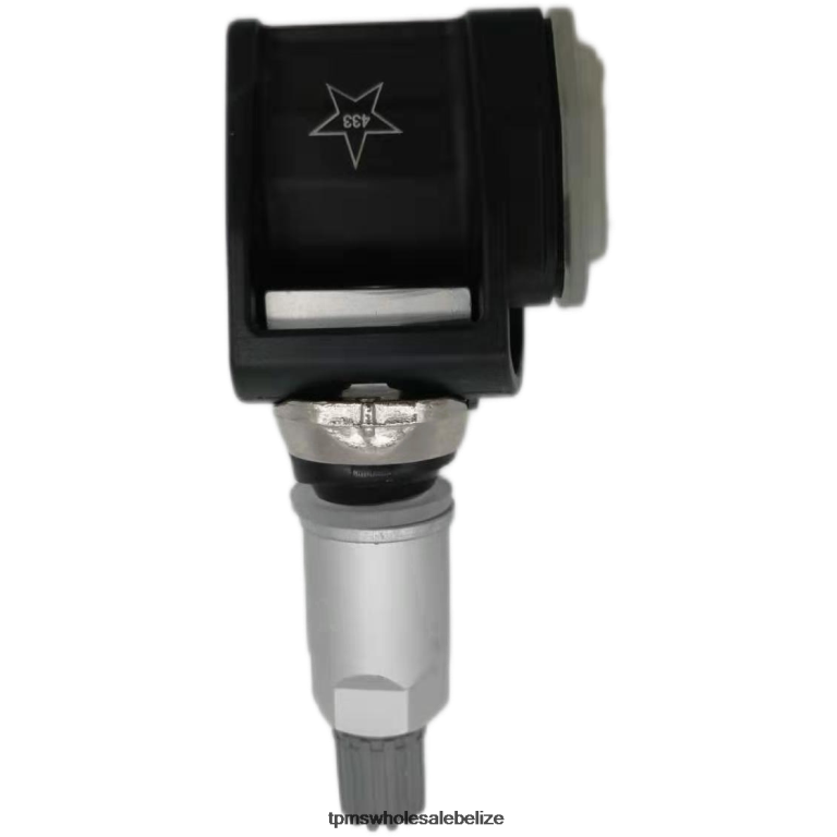 TPMS Cadillac Tire Pressure Sensor 13529770 - TPMS Programming Tool BT2RL1419
