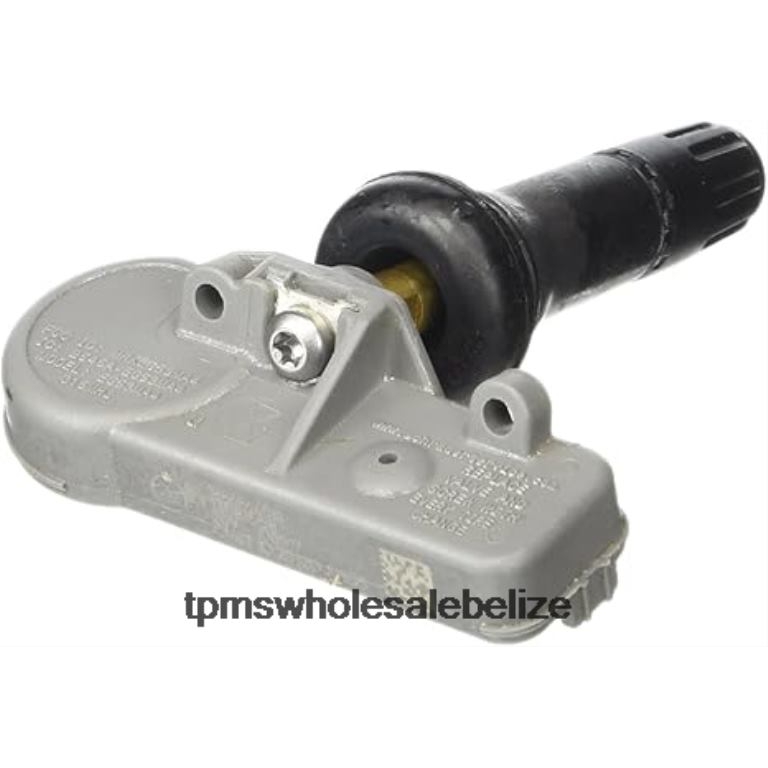 TPMS Chevrolet/Buick/GMC/Hummer Tire Pressure Sensor 13581558 - TPMS Full Form BT2RL1325
