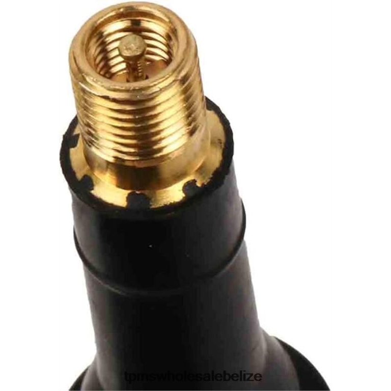 TPMS Chevrolet/Cadillac/GMC Tire Pressure Sensor 13598773 - TPMS Belmopan BT2RL1317
