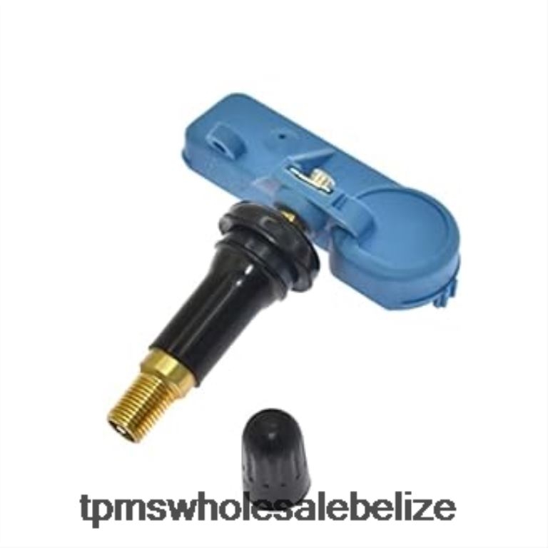 TPMS Chevrolet/Cadillac/GMC Tire Pressure Sensor 22853740 - TPMS Reset Button BT2RL1352