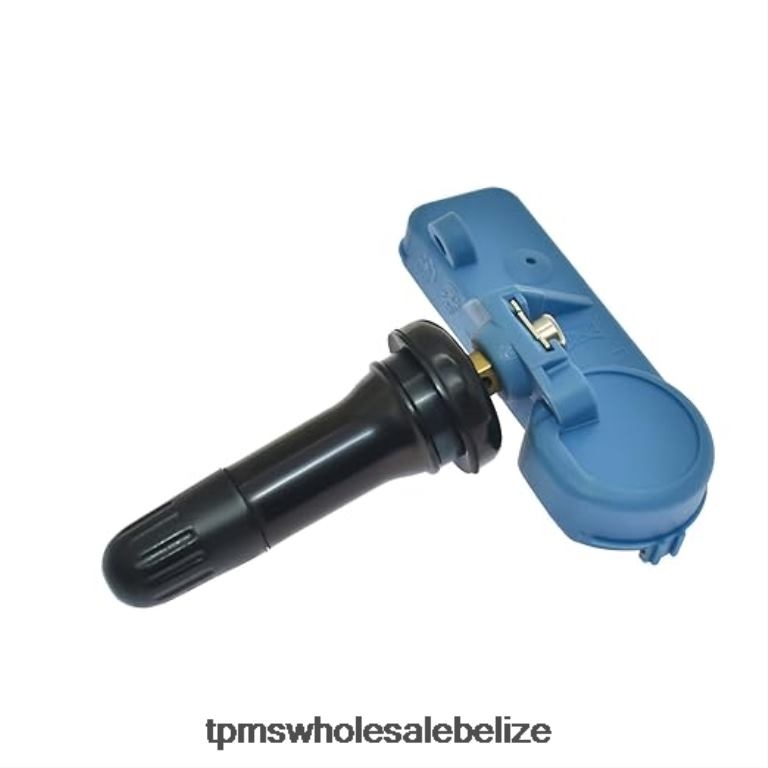 TPMS Chevrolet/Cadillac/GMC Tire Pressure Sensor 22853740 - TPMS Reset Button BT2RL1352