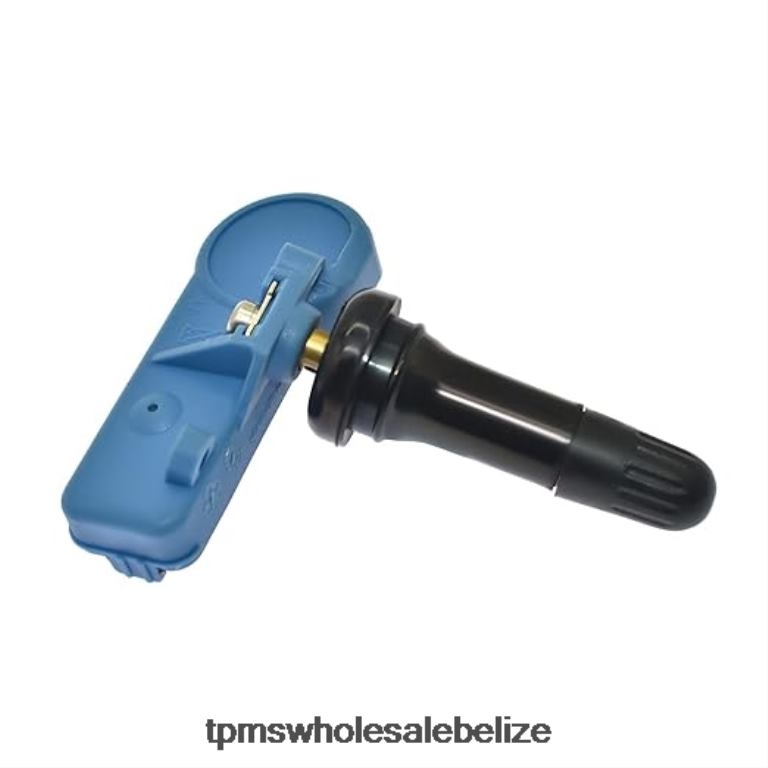 TPMS Chevrolet/Cadillac/GMC Tire Pressure Sensor 22853740 - TPMS Reset Button BT2RL1352