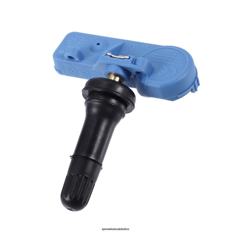 TPMS Chevrolet/Cadillac Tire Pressure Sensor 13581561 - TPMS Sensor Replacement BT2RL1364