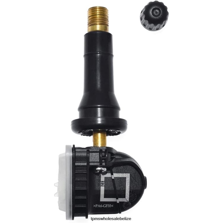 TPMS Ford Tire Pressure Sensor EV6T1A150CB - TPMS Sensor Replacement Cost BT2RL1361