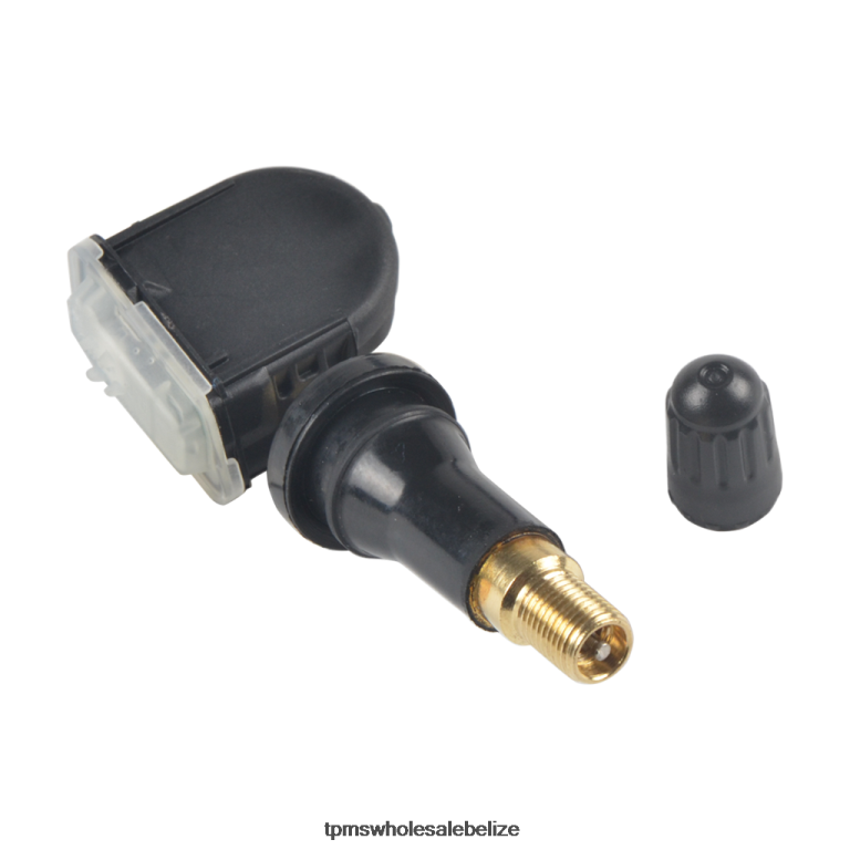 TPMS Ford Tire Pressure Sensor EV6T1A180CC - TPMS Full Form BT2RL1435