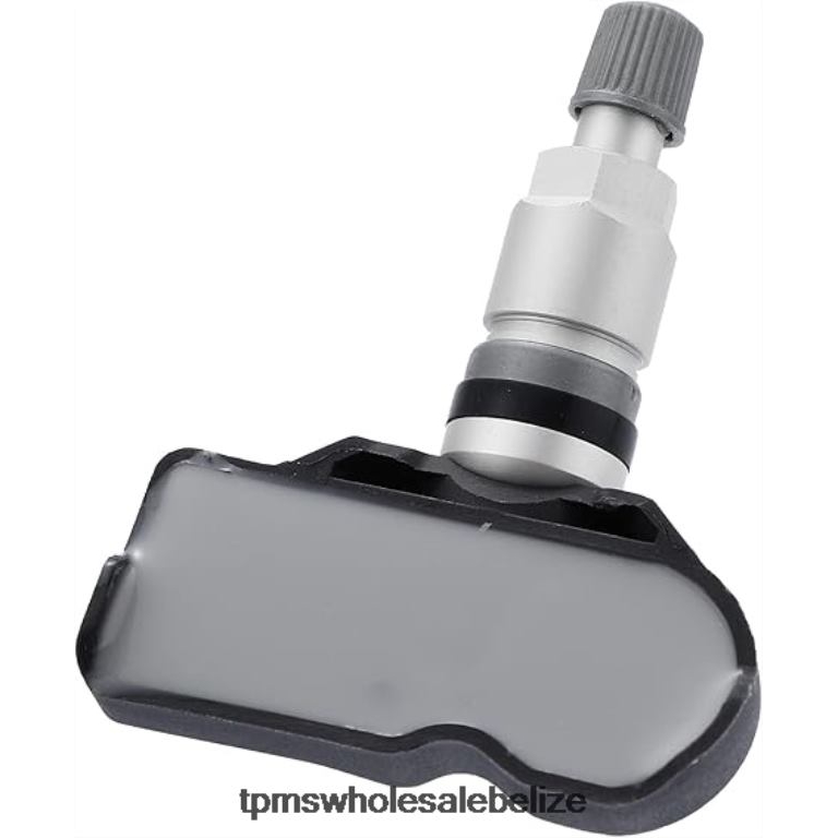 TPMS Volkswagen/Audi Tire Pressure Sensor 5Q0907275B - TPMS Reset Button BT2RL1442
