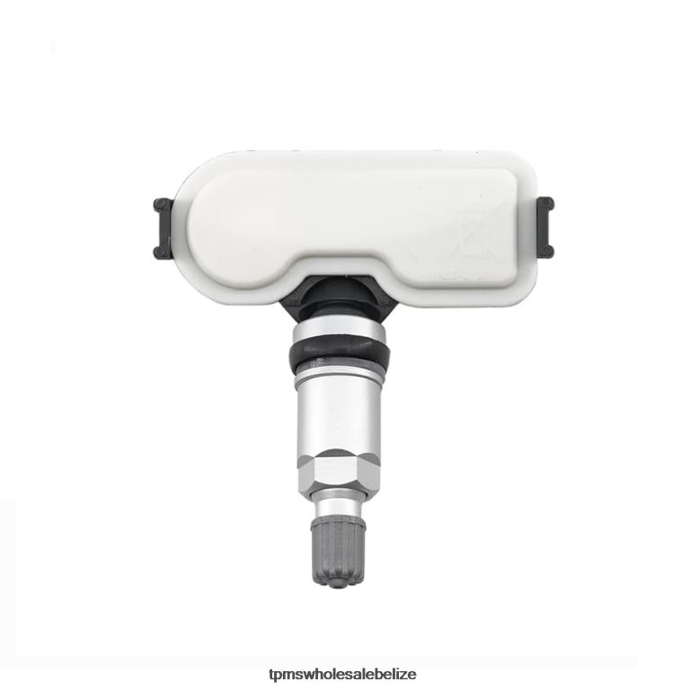 TPMS Hyundai The Pressure Sensor 529333X300 448MHZ - TPMS Sensor Replacement Cost BT2RL1671
